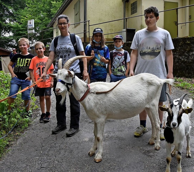 Mit Ziegen unterwegs: Die Wanderung du...ienkinder wieder ein tolles Erlebnis.   | Foto: Heinz und Monika Vollmar