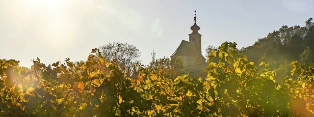 Wo der Wein wchst, soll alles immer s...nasses Roman &#8222;Dunkelblum&#8220;.  | Foto: KTH (imago)