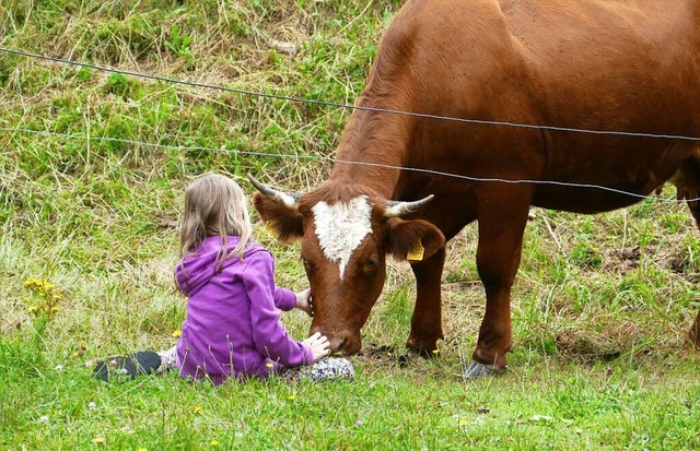 Finja Owald krault eine der Khe, die...nning auf einer Endeburger Weide hlt.  | Foto: Martina David-Wenk