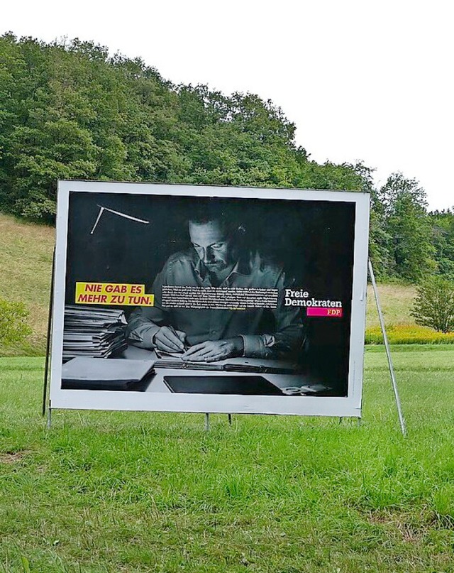 FDP-Wahlwerbung mitten im Grnen   | Foto: Gerold Zink