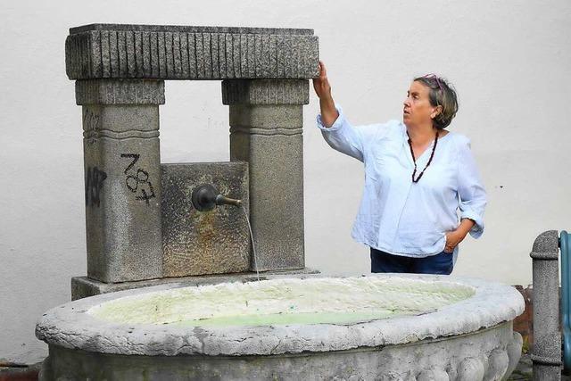 Schopfheims Brunnen kommen bei einem Experten schlecht weg