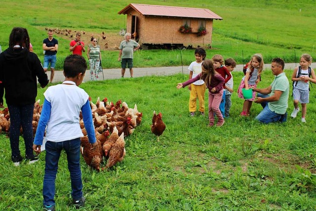 Kinder fttern Hhner unter Aufsicht von Hofbesitzer Dietger Ketterer (rechts).  | Foto: Nina Herrmann