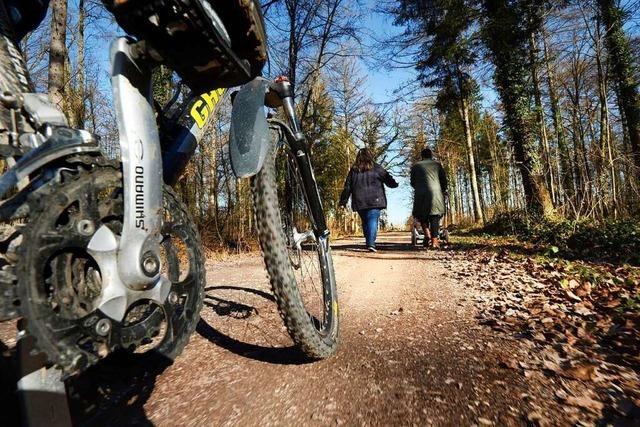 Frster wnschen mehr Rcksicht von Waldbesuchern