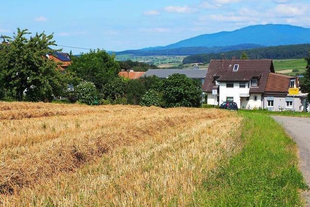 Warum es mit dem Baugebiet in Huttingen so lange dauert