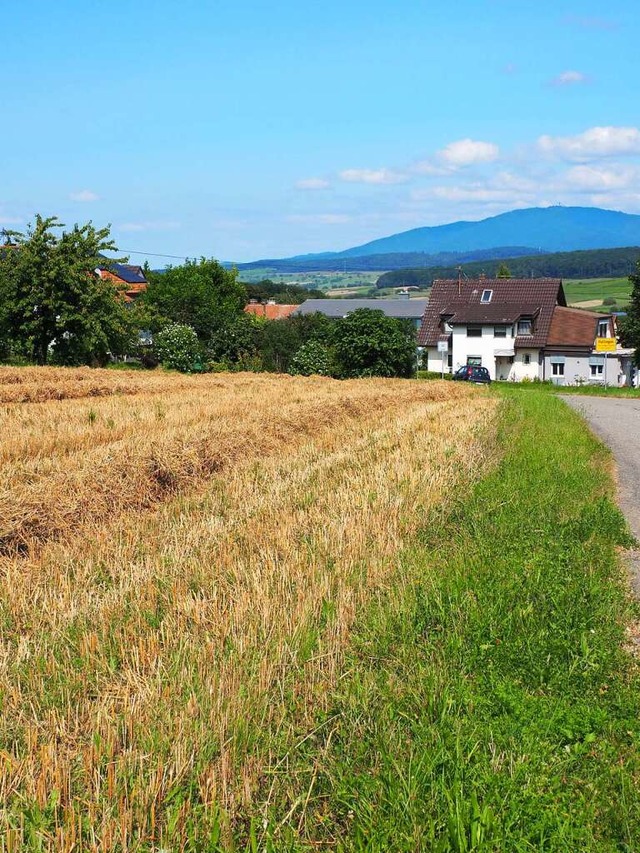 Am nrdlichen Ortsrand  Huttingens ist...s Baugebiet mit 14 Baupltzen geplant.  | Foto: Herbert  Frey