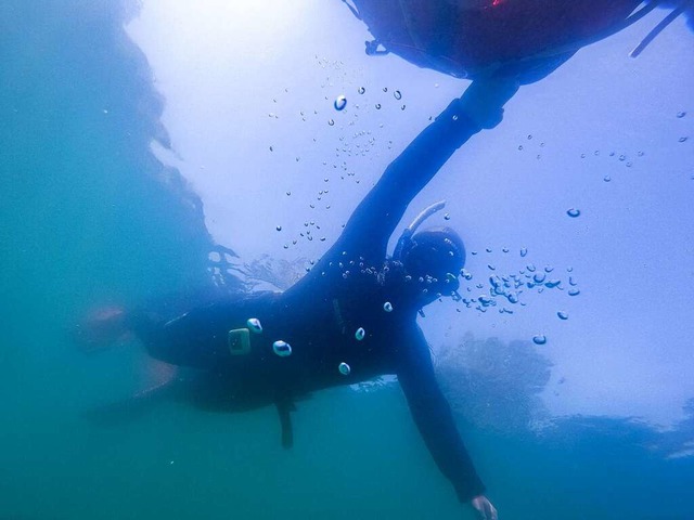 Annika Sindlinger  stellt schnell fest...ndern auch im  Ettenheimer Apostelsee.  | Foto: Unterwasserwelten