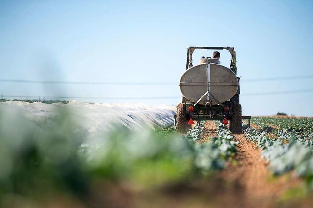 Ein Landwirt giet seine Pflanzen. (Symbolbild)  | Foto: Sebastian Gollnow (dpa)