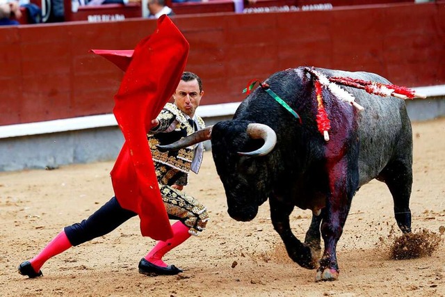 Ein Torero in Spanien beim Kampf mit einem Stier  | Foto: Sergio Barrenechea