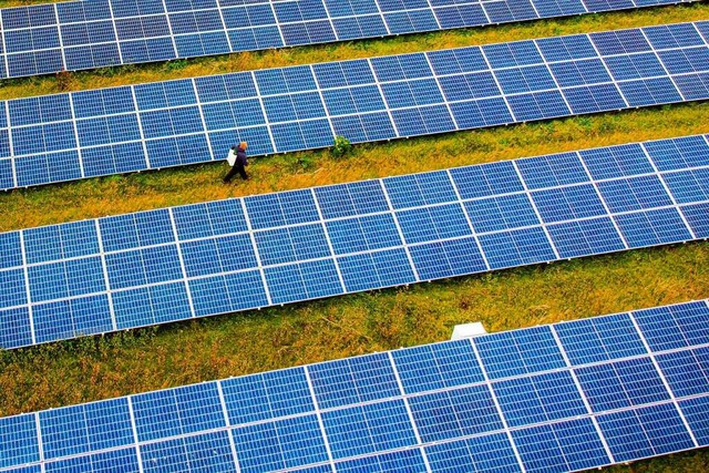Reihenweise Solarzellen, die das Licht...rk in der britischen Grafschaft Devon.  | Foto: Ben Birchall (dpa)