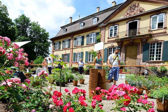 Ein Kulturfest  um das Schloss Ebnet in Freiburg herum (Bild aus dem Jahr 2016)  | Foto: Rita Eggstein
