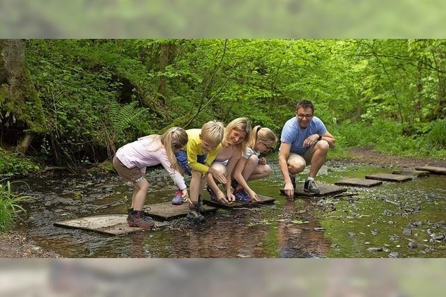 Auf dem Sulzbacher Wasserpfad lässt sich die Lebenswelt am und im Bach entdecken