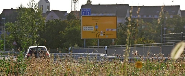 Auf dem Neuenburger Kreisel wurde eine...schung fr Magerstandorte ausgebracht.  | Foto: Ministerium fr Verkehr