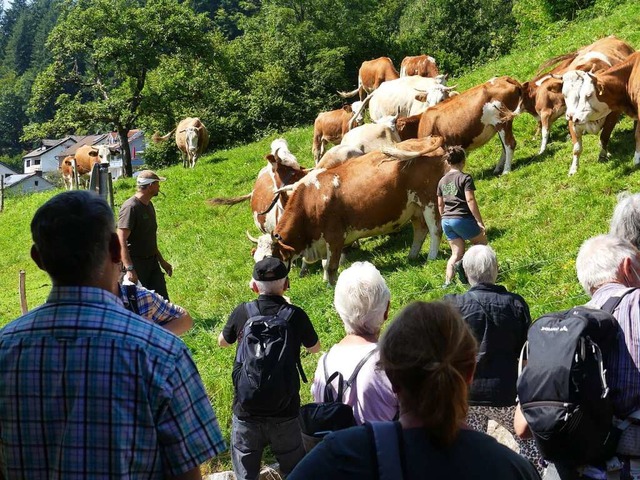 Offenes Exkursionsseminar in eine viel...Unesco-Biosphrengebiet Sdschwarzwald  | Foto: Dieter Vollmer