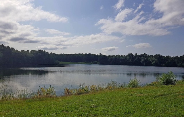 Badeverbot: Der Birkenwaldsee bei Rheinhausen ist gesperrt.   | Foto: Wolfgang Watteler