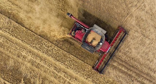 Die Getreideernte fllt dieses Jahr schlechter aus.  | Foto: Boris Roessler (dpa)