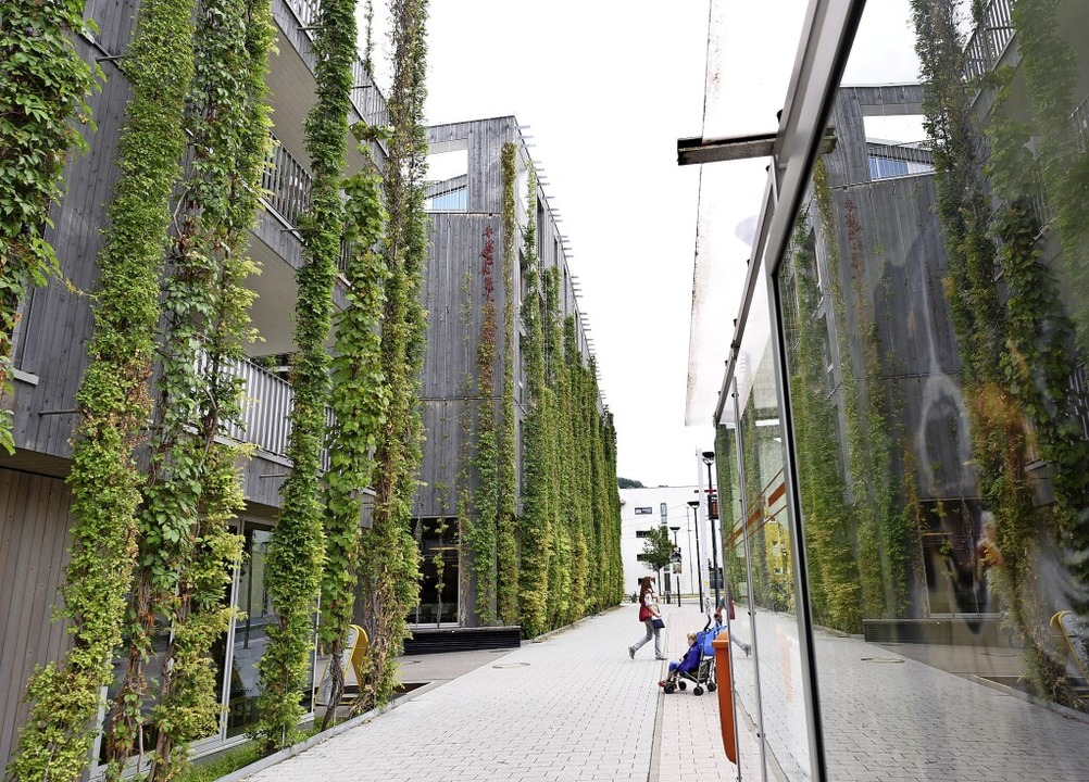 Das Green-City-Hotel in Vauban ist ein...igen Beispiele für Fassadenbegrünung.   | Foto: Rita Eggstein