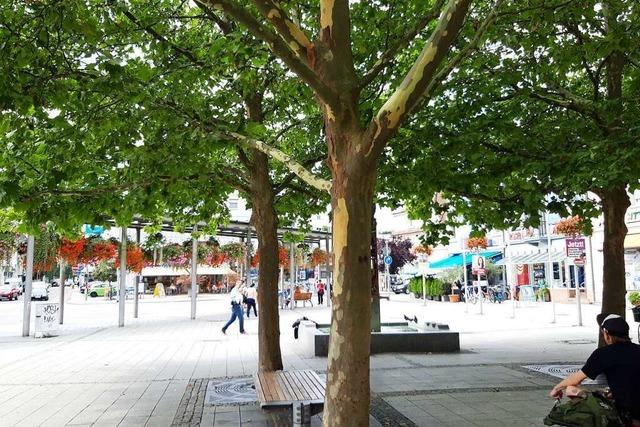 Fr ein besseres Klima in Rheinfelden braucht es Wind und Schatten