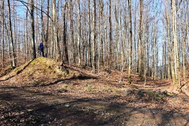 Der Kegelriss bei Ehrenkirchen – hier lebten einst Kelten hinter einem hohen Wall