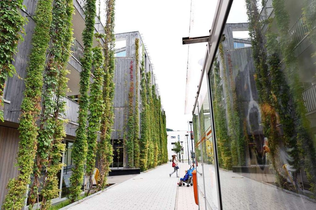 Das Green-City-Hotel in Vauban ist ein...igen Beispiele für Fassadenbegrünung.   | Foto: Rita Eggstein