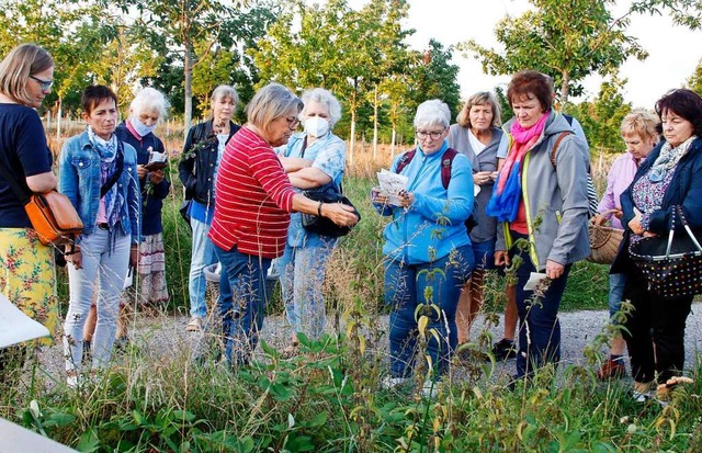 Monika Fischer (rotes Oberteil) erlutert, woran man die Kruter erkennt.  | Foto: Heidi Fel