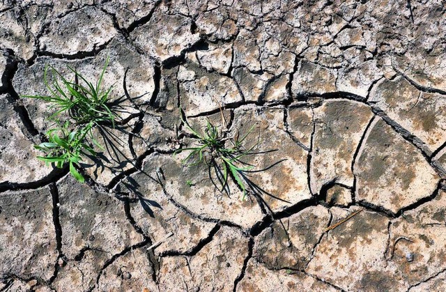 Die Folgen des Klimawandels zeigen sic...h in Lahr und der Region (Symbolbild).  | Foto: Karl-Josef Hildenbrand (dpa)