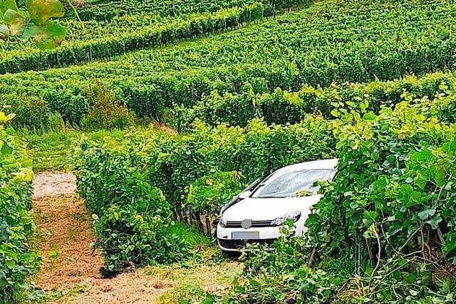 Binzen leidet zunehmend unter Party-Mll – Foto zeigt Auto im Weinberg