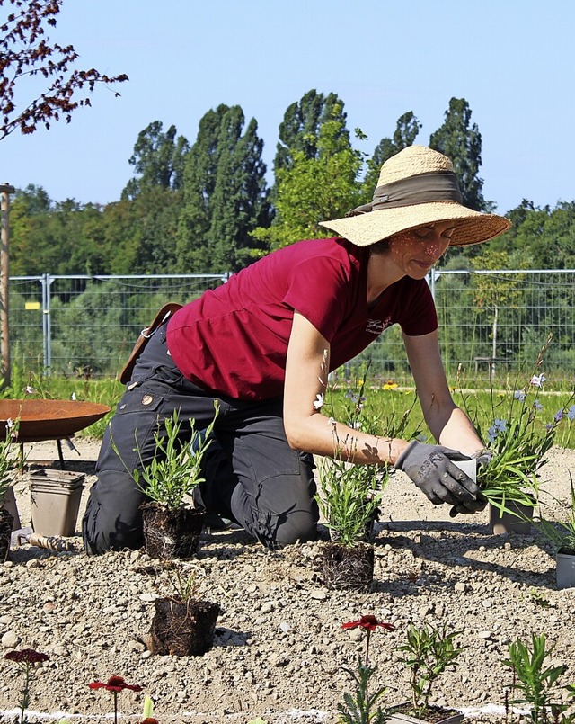 Gartenexpertin Anne Rostek hofft, dass...spiration fr den eigenen Garten wird.  | Foto: Jennifer Ruh