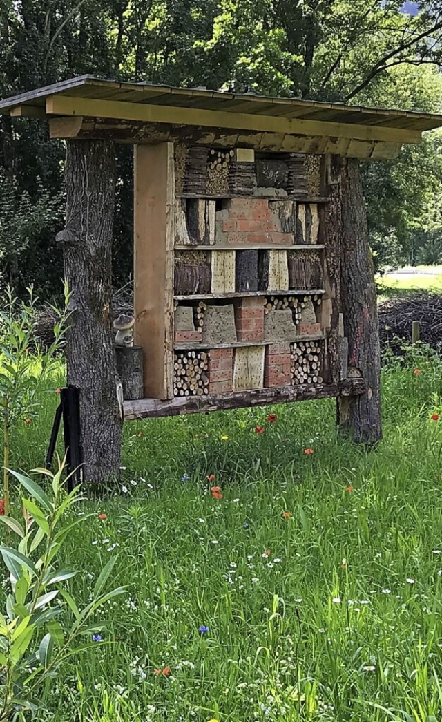 &#8222;Biologischer Ablasshandel&#8220; oder ntzlich? Insektenhotel.  | Foto: Ortenaukreis