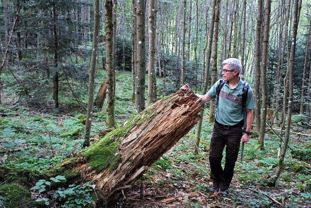 Hansjrg Bockstaller in einem vom Stur... der ohne Zutun neu entstandene Wald.   | Foto: Erich Krieger