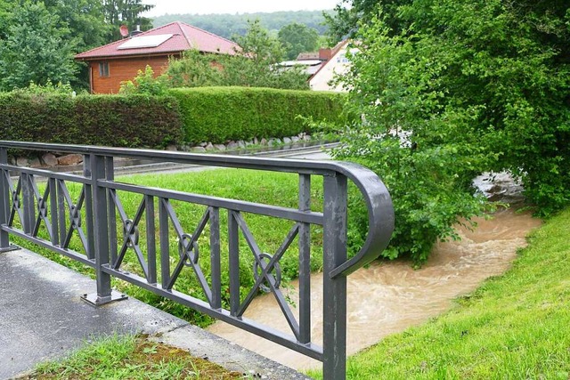 Bei Regen gert mehr Wasser in den Feuerbach, als ihm bekommt.  | Foto: Victoria Langelott