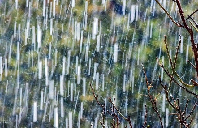Wetterdienst zieht Bilanz: Zu viel Regen im Sommer  | Foto: Jens Bttner (dpa)