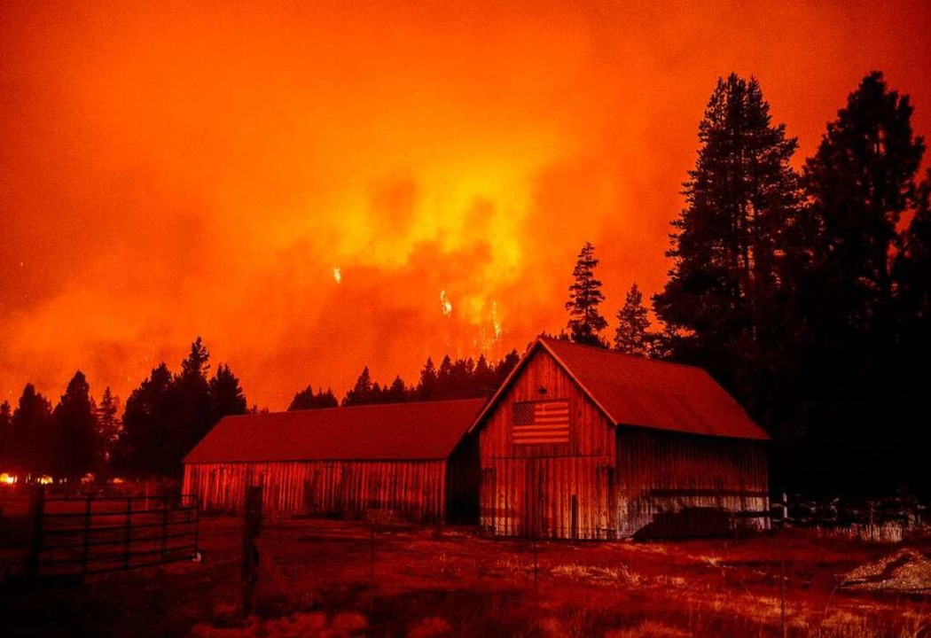 Mehr als 650 Gebäude hat das Caldor-Feuer bei Lake Tahoe schon zerstört.  | Foto: JOSH EDELSON (AFP)