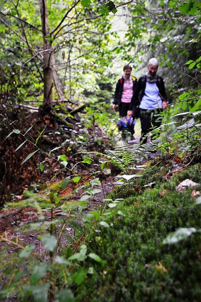 Unterwegs im Schwarzwald: Wer sich dab...irrt, sollte rechtzeitig Hilfe holen.   | Foto: Kathrin Blum