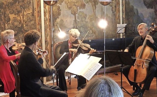 Mit Stcken von Haydn und Beethoven be...orchesters die Zuhrer im Schlosssaal.  | Foto: Bianca Flier