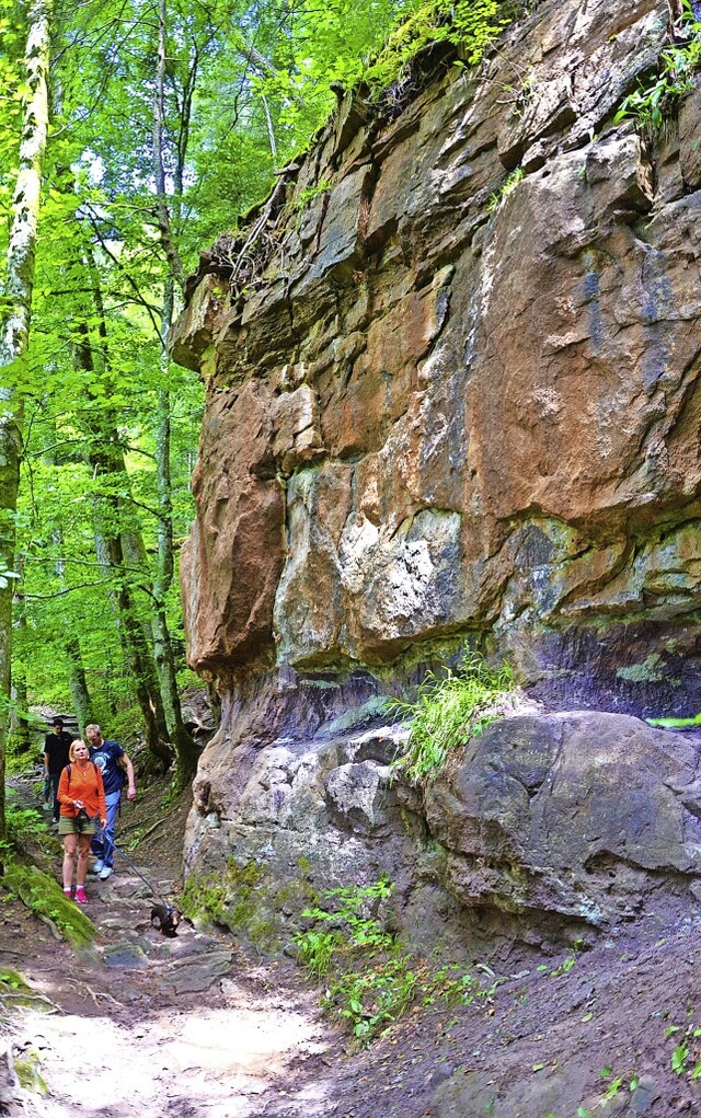 Die Buntsandsteinwand unterhalb der Sc... ein fossiler Bodenhorizont zu sehen.   | Foto: Friedbert Zapf