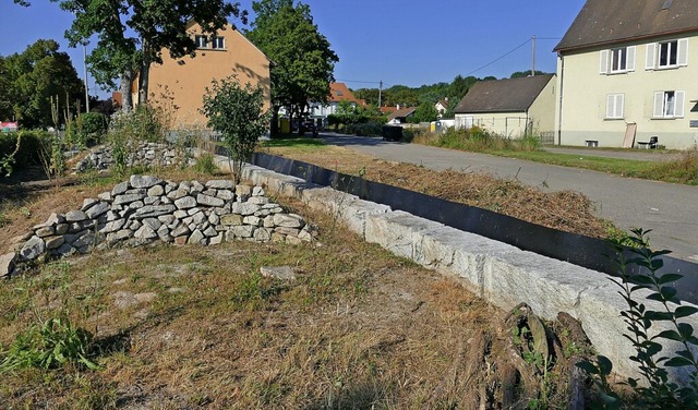 Das neue Domizil fr die Eidechsen ist...user in Holzmodulbauweise erstellen.   | Foto: Ulrich Senf