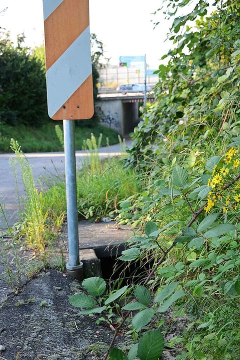 Dieser Kanal könnte durch eine Neigung der Straße besser wirken.  | Foto: Moritz Lehmann