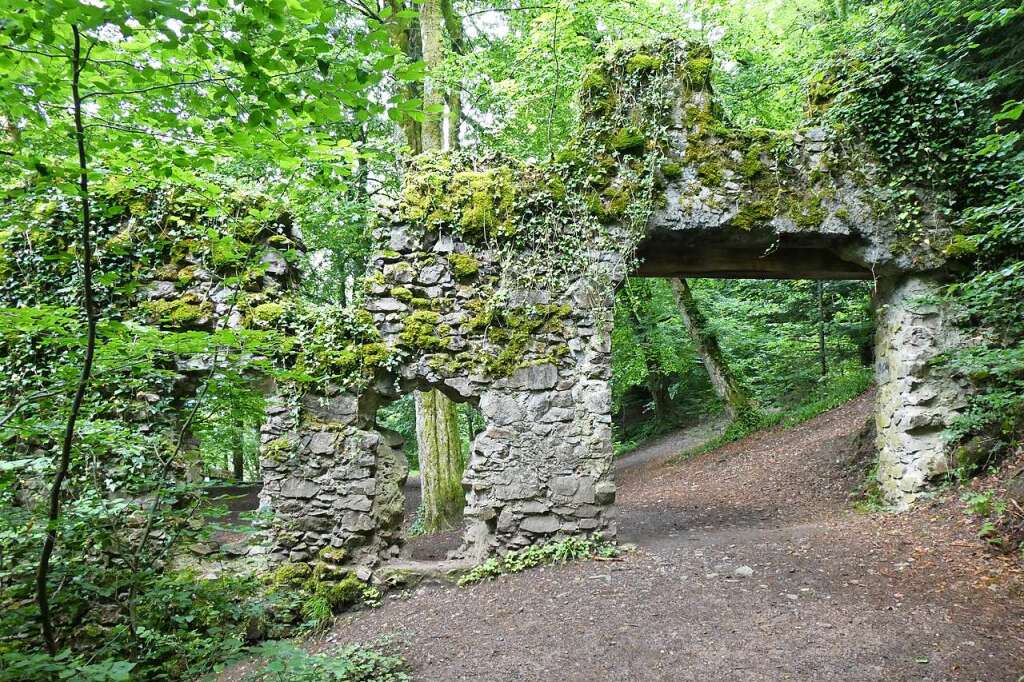 Why Wiesneck Castle near Buchenbach is the oldest castle in Breisgau – Buchenbach