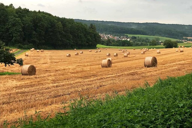 Die vorlufige Erntebilanz im Landkrei...n den nur kurzen trockenen Zeitrumen.  | Foto: Jutta Schtz