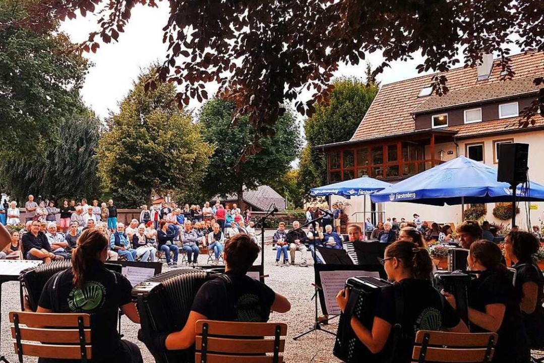 Im Sommer 2018 trat das Akkordeonorchester noch auf.  | Foto: Moritz Mark