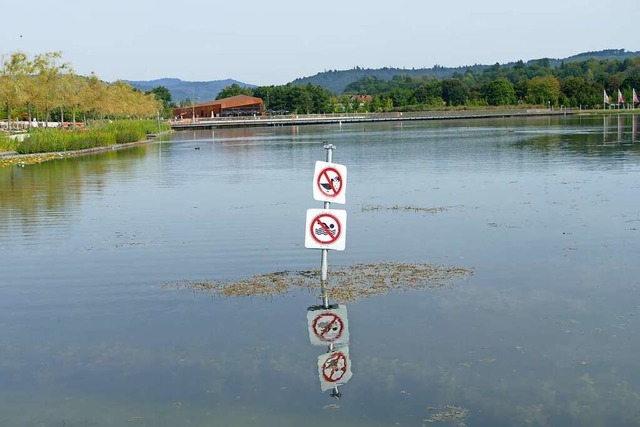 Das Fttern ist verboten.  | Foto: Christian Kramberg