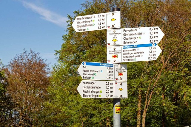 Seit der Pandemie wandern mehr Mensche...rg mehr Verste im Naturschutzgebiet.  | Foto: Schwarzwaldverein e.V. / Stephan  Seyl
