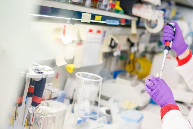 Arbeit mit Reagenzglas und Pipette (Symbolbild).  | Foto: Philipp Von Ditfurth