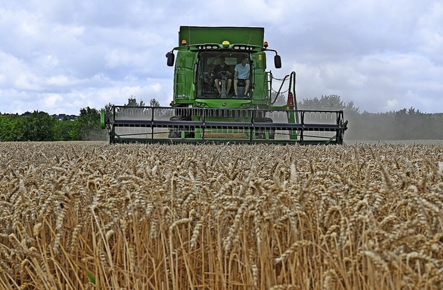 Auch die Landwirtschaft  ist durch den Klimawandel zu Anpassungen gezwungen.   | Foto: Peter Zschunke (dpa)