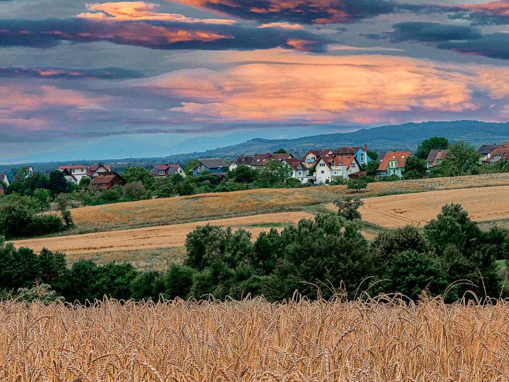 Im sanften Licht der untergehenden Sonne vom Getreidefeld auf der Domne Hochburg und ber Windenreute hinweg bis zum Kaiserstuhl. BZ-Leser Wolfgang Speer hat dieses Stck Heimat mit seiner Kamera eingefangen.