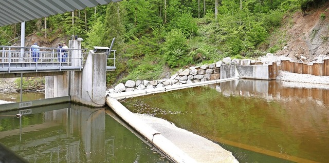 Die Wasserkraftanlage Ewattingen hat e...n bis zu rund 1,2 GWh erzeugt werden.   | Foto: Stefan Limberger-Andris