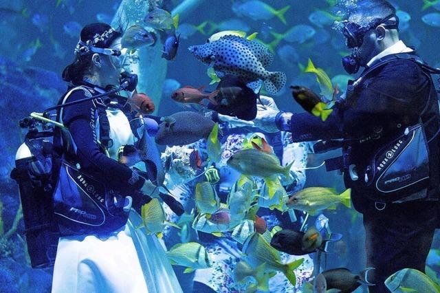 Hochzeit unter Wasser