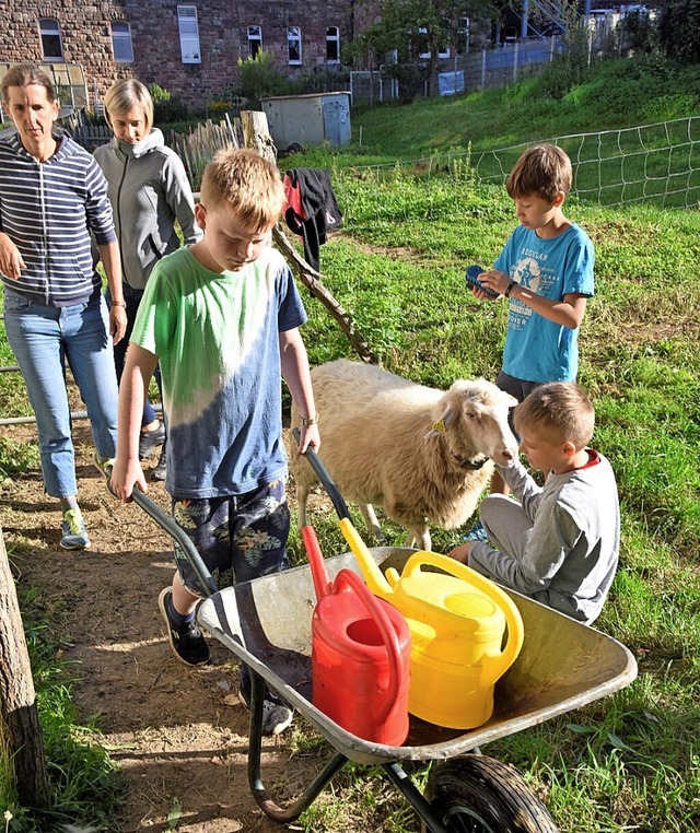 Das Versorgen der Tiere des Schulbauer...h zum Tagesprogramm der Sommerschule.   | Foto: Markus Zimmermann