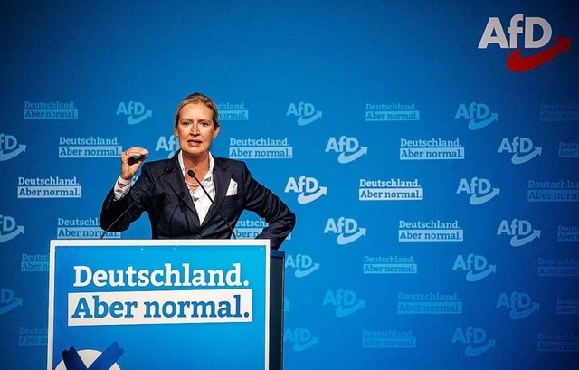 Alice Weidel, Landesvorsitzende der Af... Halle der Messe zu Parteimitgliedern.  | Foto: Christoph Schmidt (dpa)