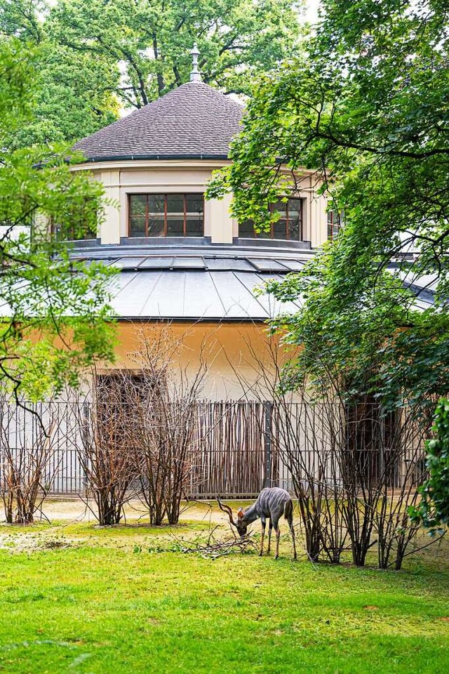 Das Antilopenhaus steht fr die Typolo...huser zu Beginn des 20. Jahrhunderts.  | Foto: Zoo Basel (Torben Weber)